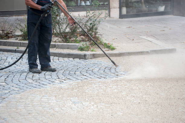 Best Patio and Deck Pressure Washing  in Elbow Lake, MN